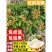 龙眼树苗嫁接盆栽水果树苗储良桂圆石硖南方四季