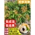 龙眼树苗嫁接盆栽水果树苗储良桂圆石硖南方四季
