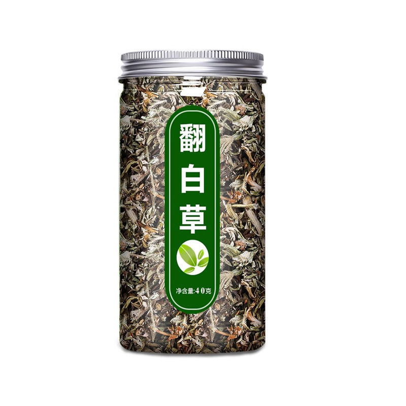 翻白草手工采摘中药材野生新鲜茶泡水喝翻百草苦丁