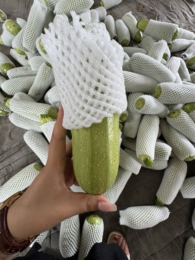 菜瓜