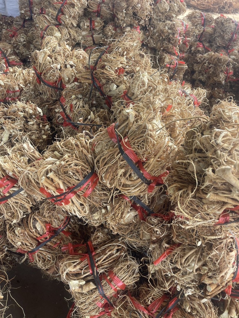 专业供应商欢迎电话咨询五指毛桃规格齐全货源充足