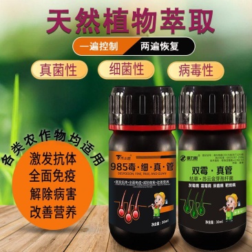 毒细双霉~真菌细菌病毒全打