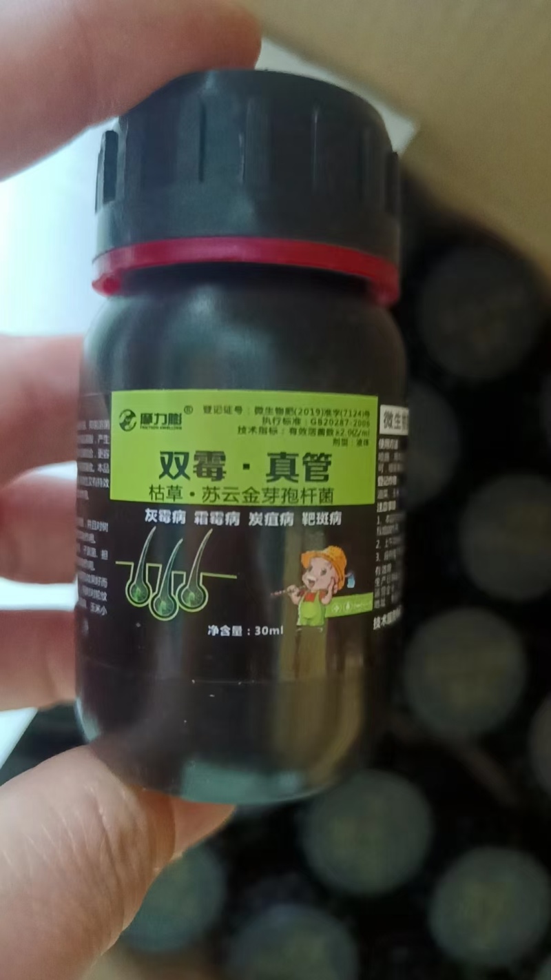 毒细双霉~真菌细菌病毒全打