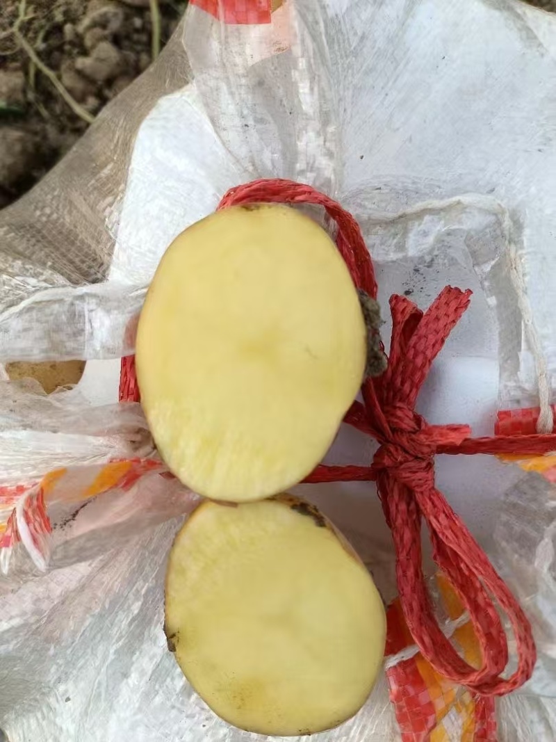 精选黄皮黄心沃土5号土豆，大量现货，可干洗~