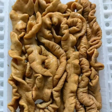 猪肠