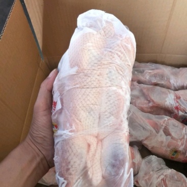 二级白条鸭，各个规格都有货