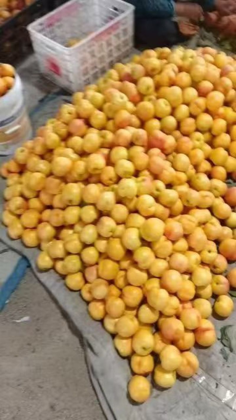 黄油桃