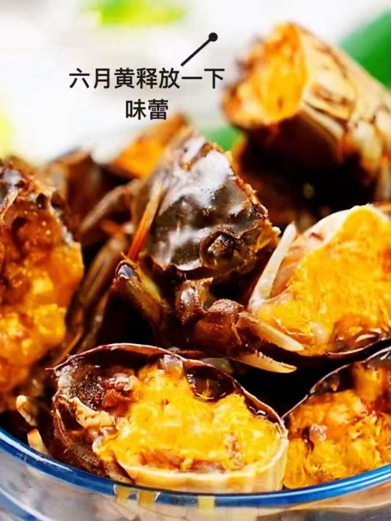 盘锦六月黄毛蟹成蟹稻田蟹超市团购