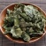 桑叶桑叶茶批发桑叶茶量大从优质量保证