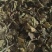 桑叶桑叶茶批发桑叶茶量大从优质量保证