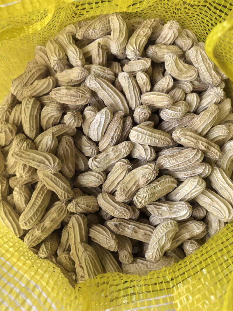 云南七彩花生大量供货品质保证欢迎下单品尝诚信经营