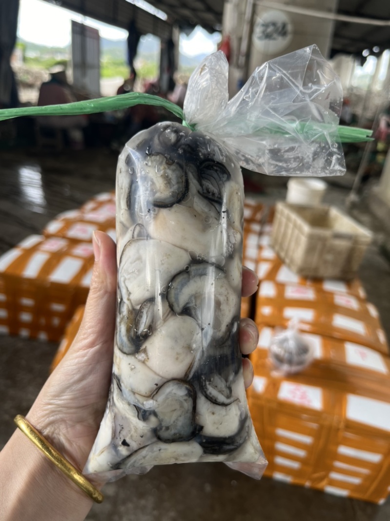 蚝肉生蚝肉海蛎肉牡蛎肉蚵仔煎蚝蛋烧原产地直发
