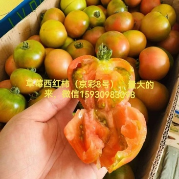 草莓西红柿通货