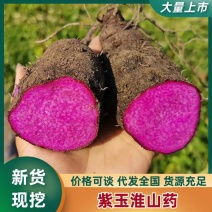 新鲜现挖紫山药紫玉淮山脚板薯大脚板铁棍山药蔬菜批发