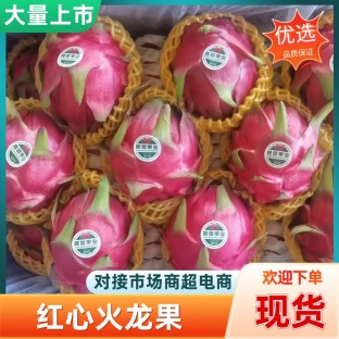 云南火龙果 红心火龙果 优质金都一号 当季新鲜水果