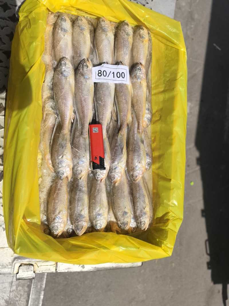 单冻，板冻，大工厂加工，质量有保障。全国冷链物流发货。