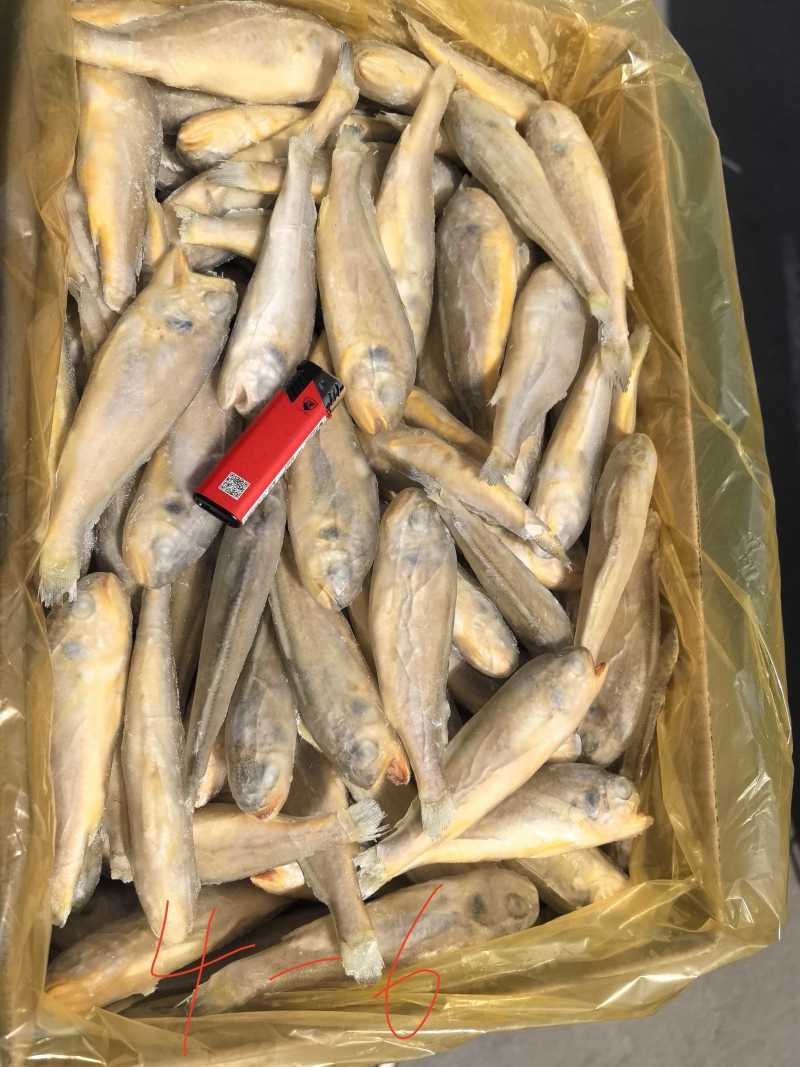 单冻，板冻，大工厂加工，质量有保障。全国冷链物流发货。