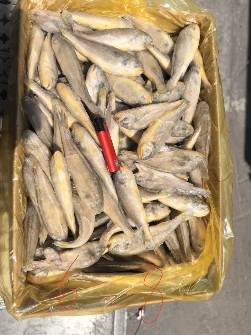 单冻，板冻，大工厂加工，质量有保障。全国冷链物流发货。