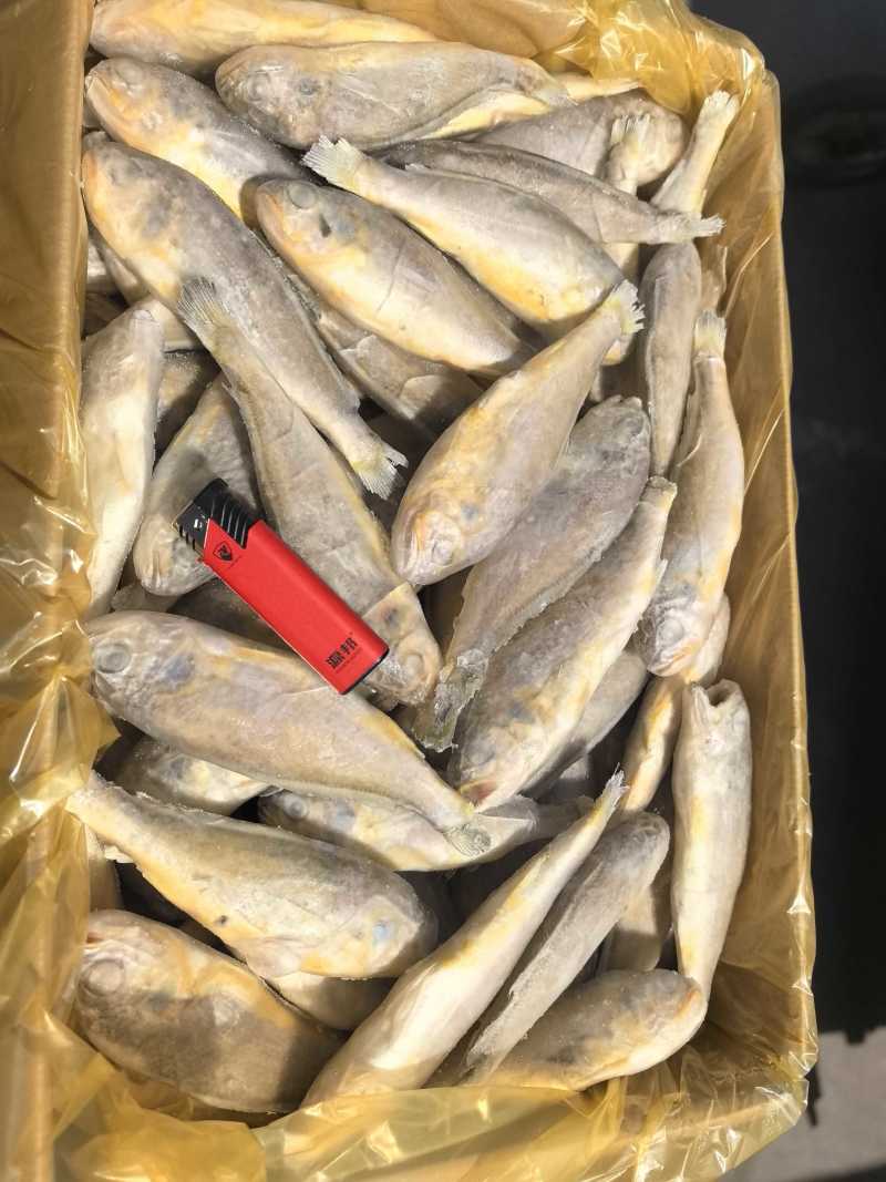 单冻，板冻，大工厂加工，质量有保障。全国冷链物流发货。
