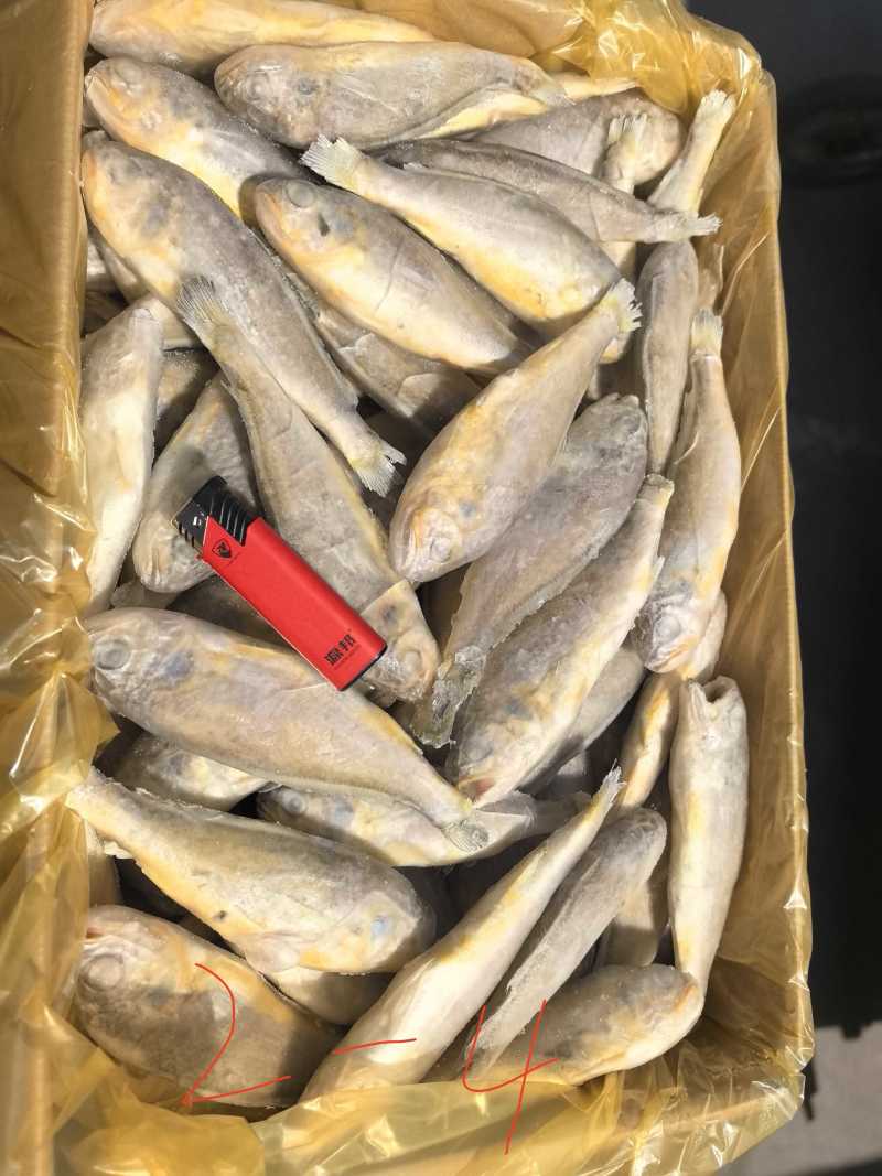 单冻，板冻，大工厂加工，质量有保障。全国冷链物流发货。