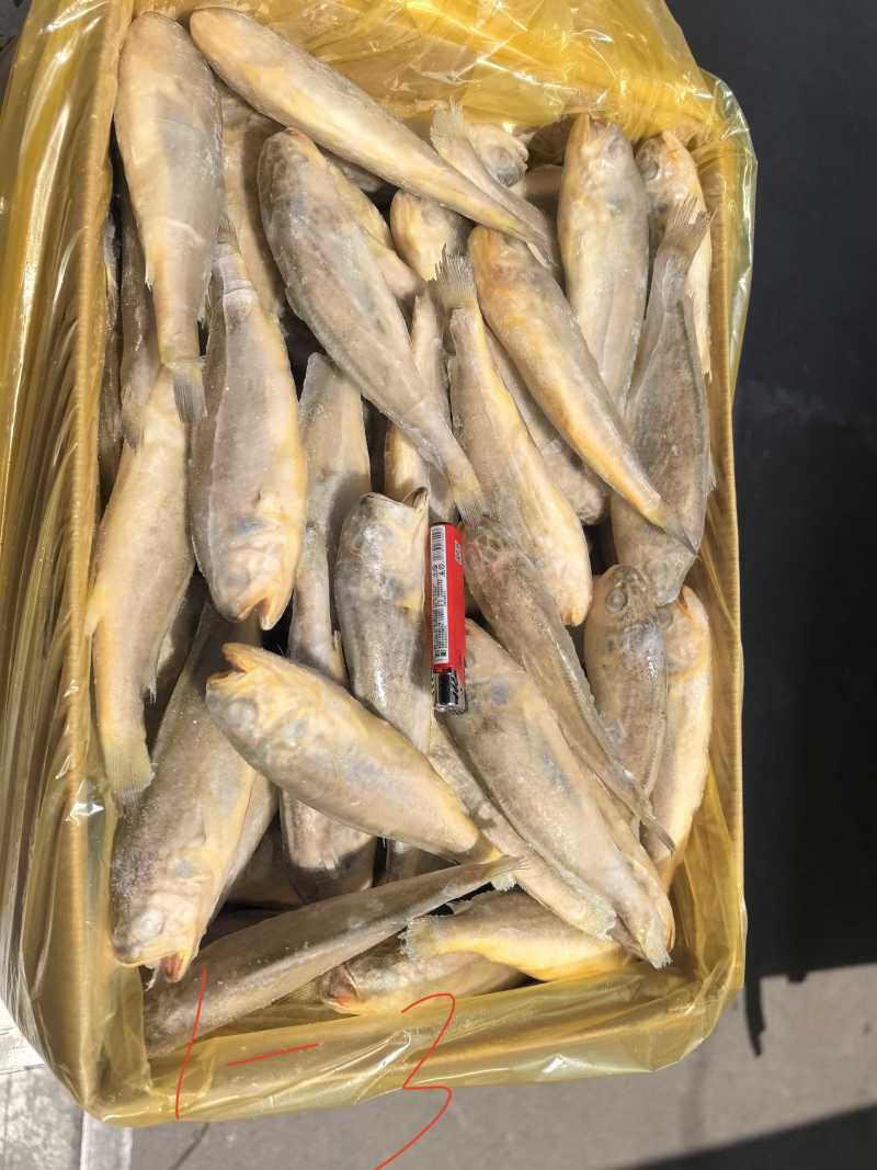 单冻，板冻，大工厂加工，质量有保障。全国冷链物流发货。