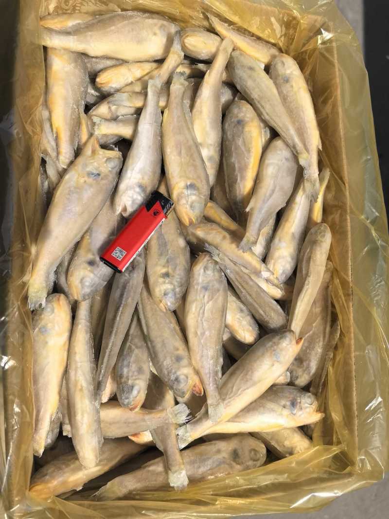 单冻，板冻，大工厂加工，质量有保障。全国冷链物流发货。