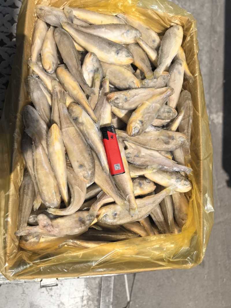 单冻，板冻，大工厂加工，质量有保障。全国冷链物流发货。