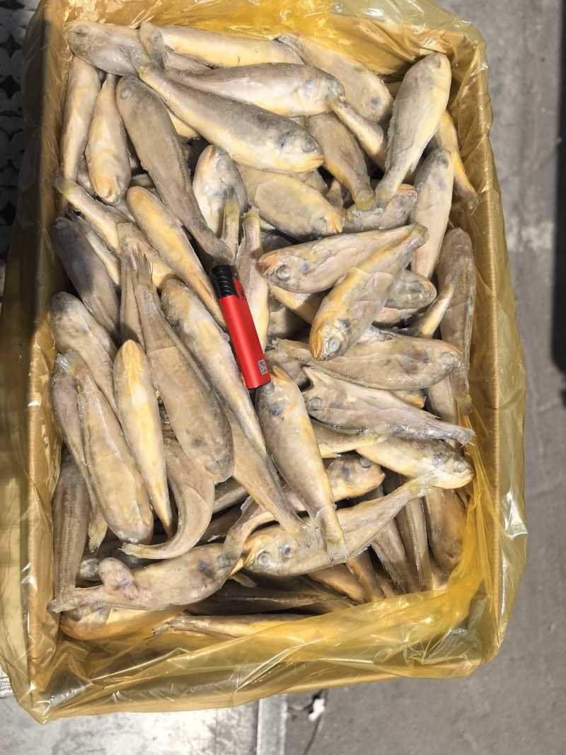 单冻，板冻，大工厂加工，质量有保障。全国冷链物流发货。