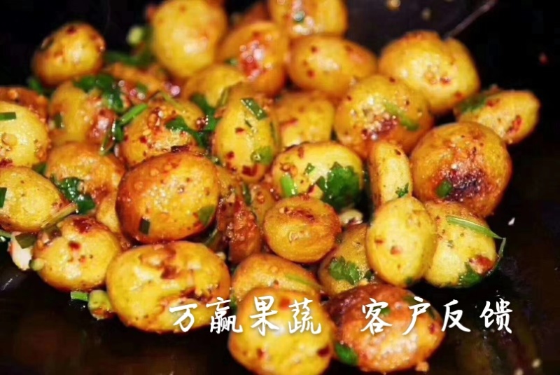 迷你小土豆迷你土豆锅巴土豆炕土豆迷你小洋芋专业供应商