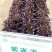 紫雀舌生菜种子紫叶生菜种子四季沙拉生菜种子基地用