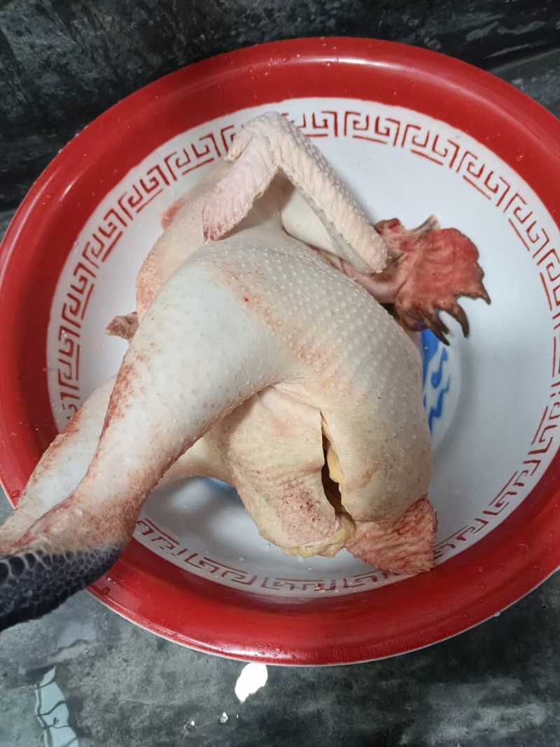 活鸡，生鸡都有，自家养殖吃谷子原生态鸡，自养鸡