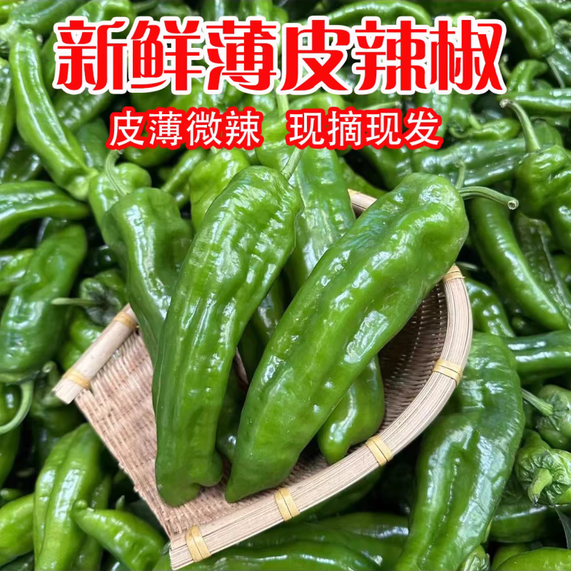 芜湖椒泡椒薄皮椒线椒杭椒螺丝椒红辣椒产地供应
