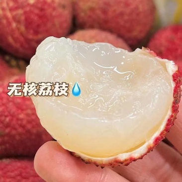 福建无核荔枝