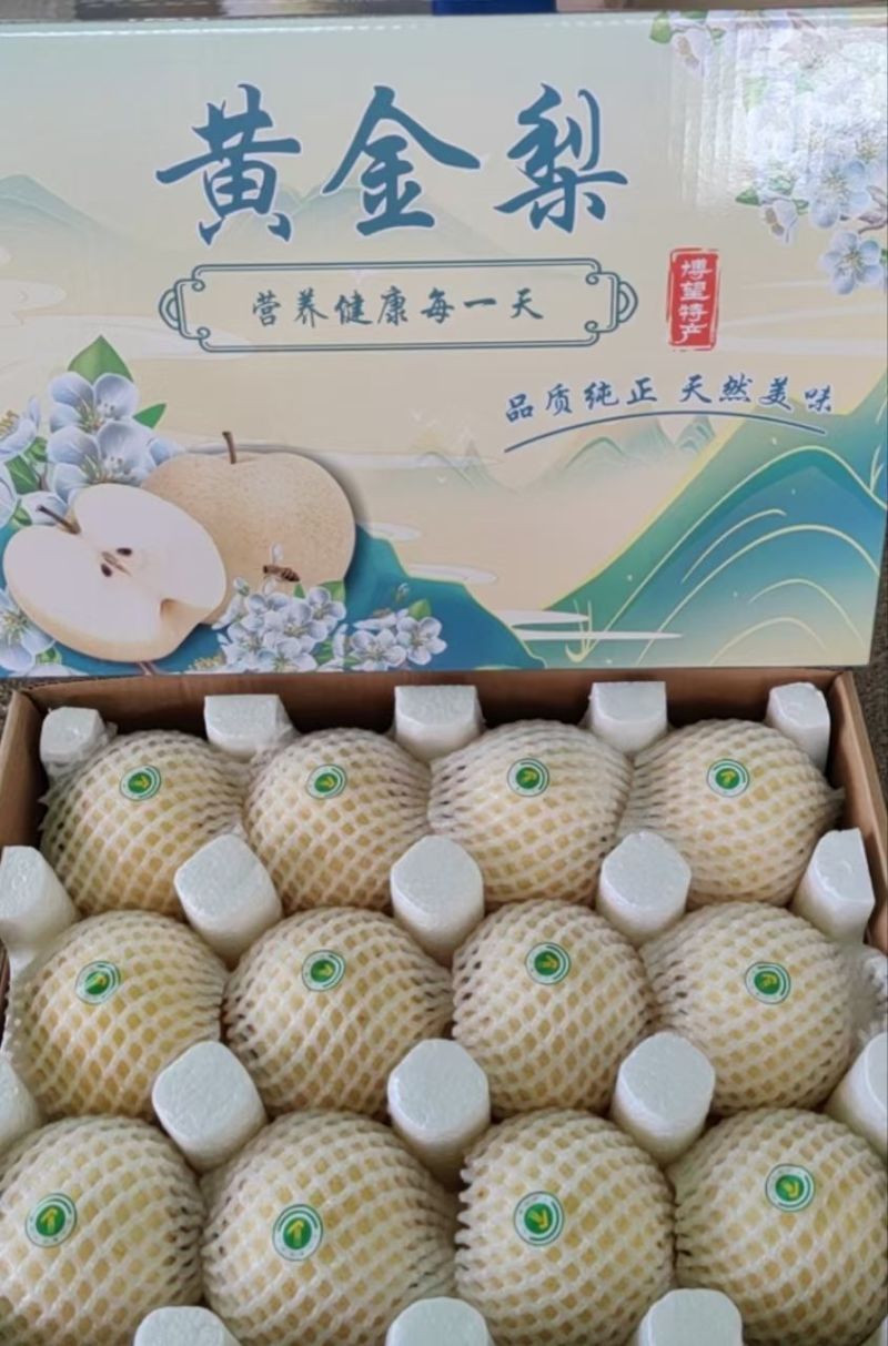 博望黄金梨批发代办
