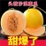 甘肃民勤金红宝蜜瓜原生态正宗肉质脆甜爽口把握季节美味！