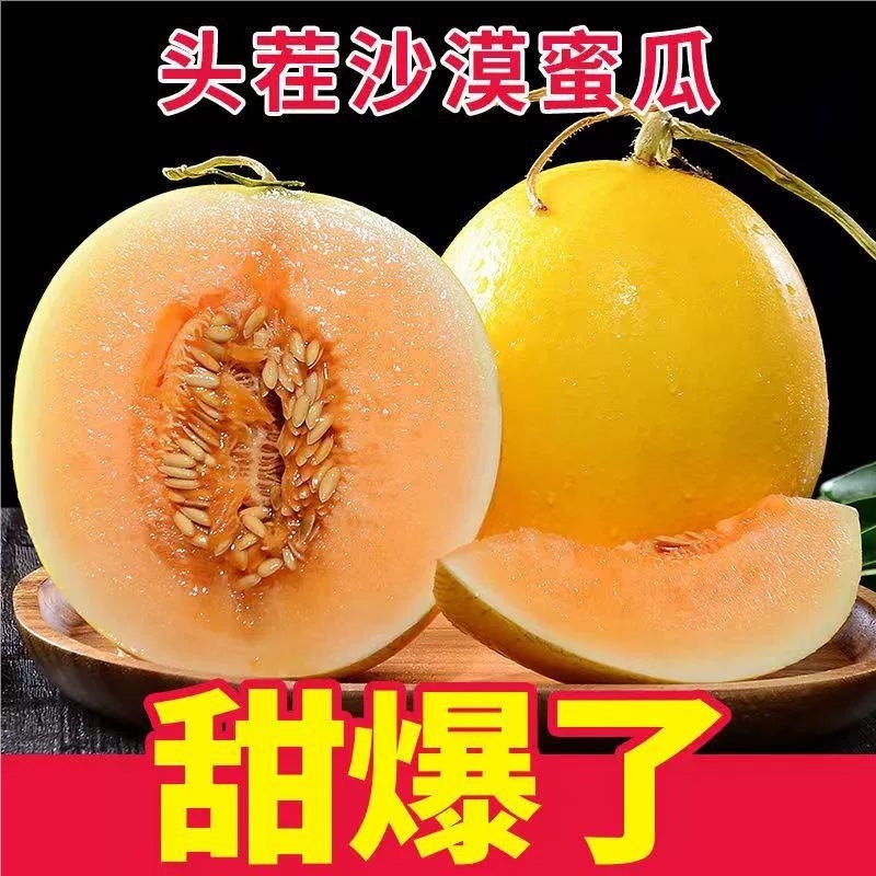 甘肃民勤金红宝蜜瓜原生态正宗肉质脆甜爽口把握季节美味！
