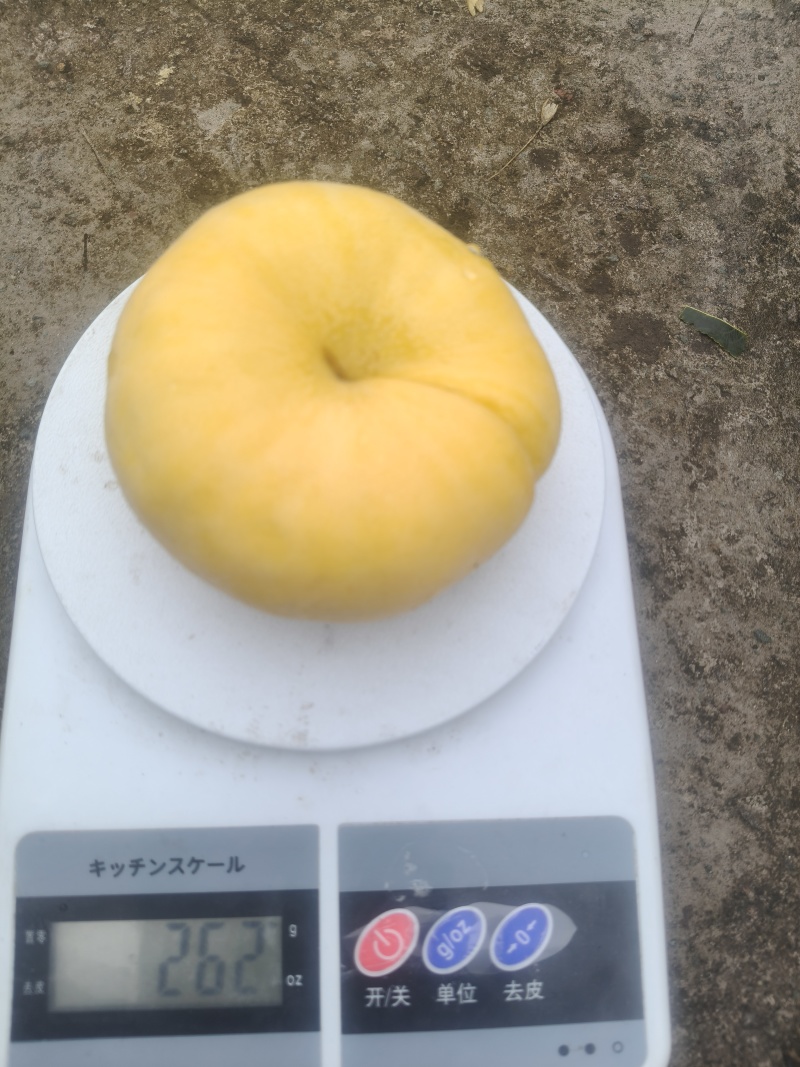 毛蟠桃，日照充足，口感脆甜