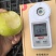 952/丁香梨上市了口感好颜色好果型好
