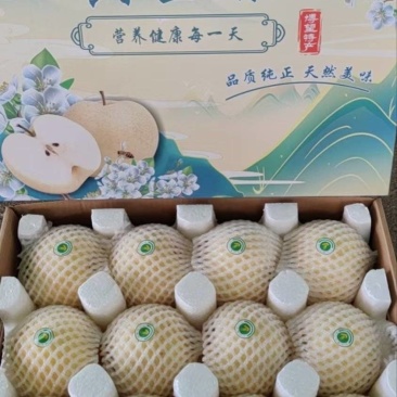 博望黄金梨圆黄梨批发代办