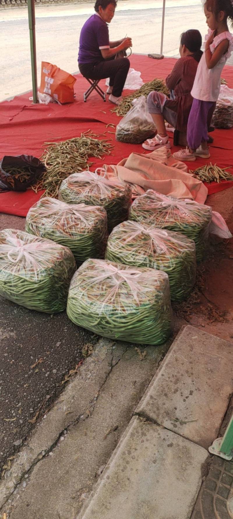 豆角大量上市