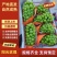 夏邑县阳光玫瑰大量上市,产地直供,质量保证,一条龙服务