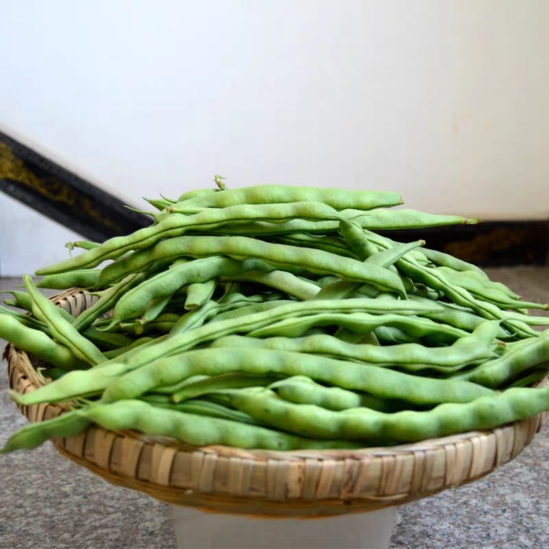 架豆王豆角四季豆无筋豆产地看货论价欢迎订购