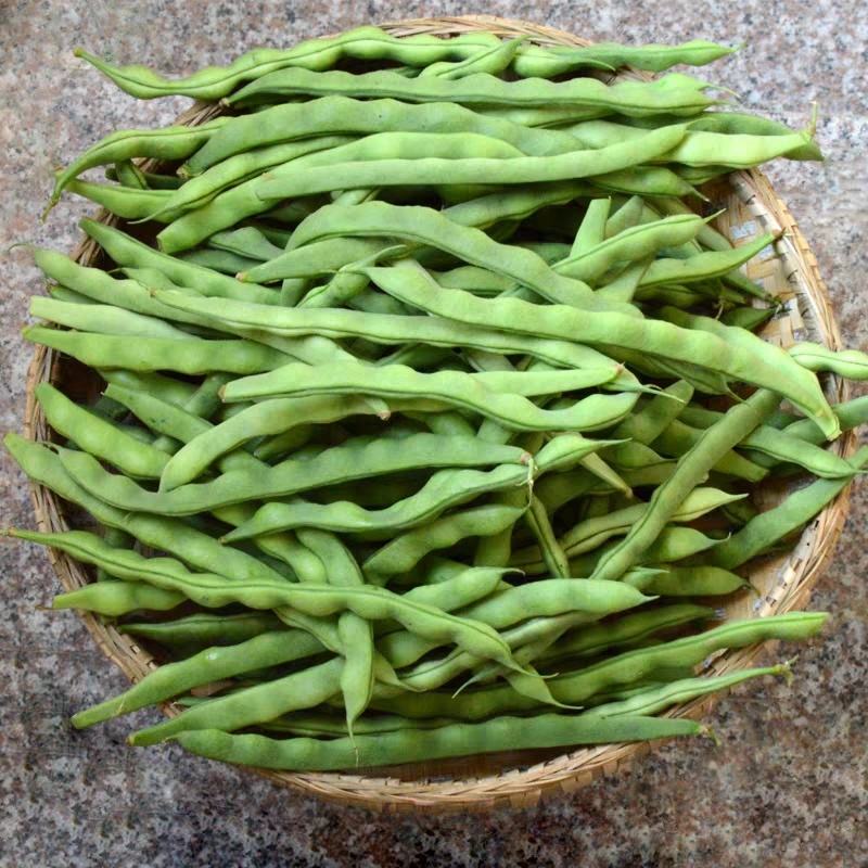 架豆王豆角四季豆无筋豆产地看货论价欢迎订购