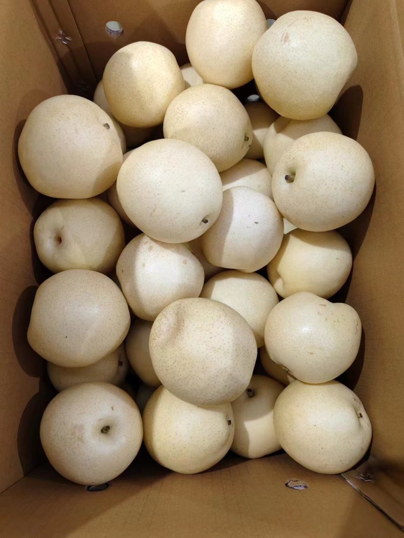 【精品】青白皇冠梨-货源充足、口感纯甜，支持电商市场等！
