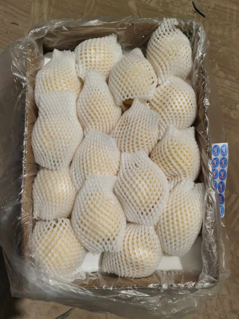 【精品】青白皇冠梨-货源充足、口感纯甜，支持电商市场等！