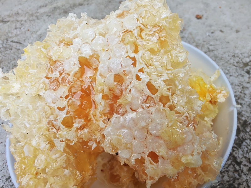 贵州野生的土蜂蜜