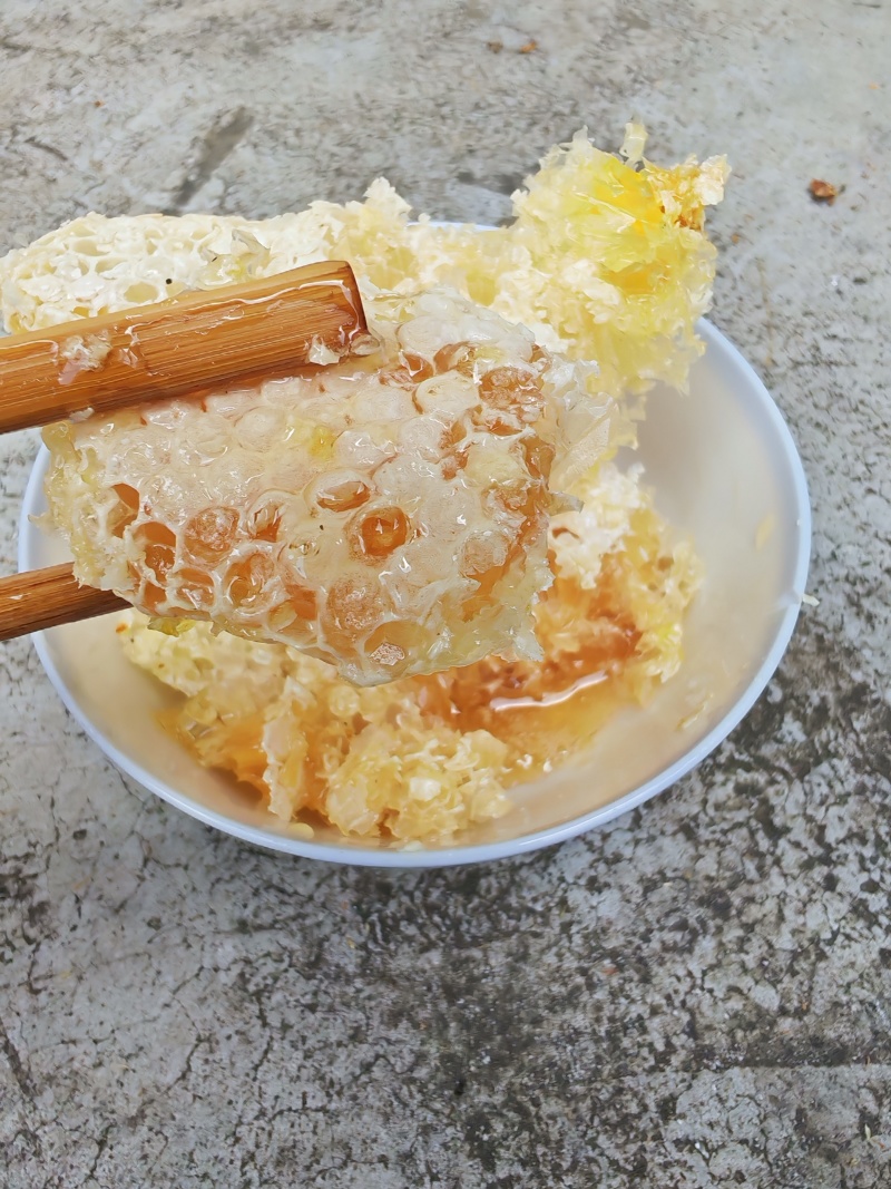贵州野生的土蜂蜜