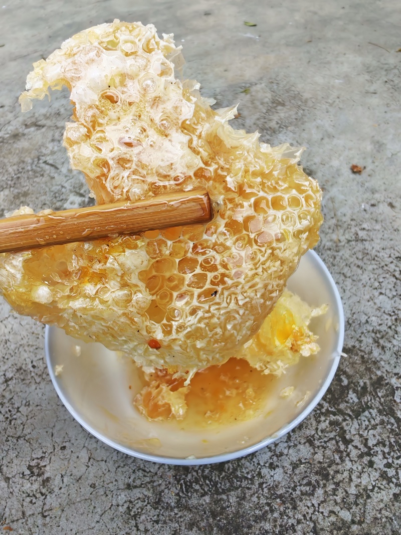 贵州野生的土蜂蜜
