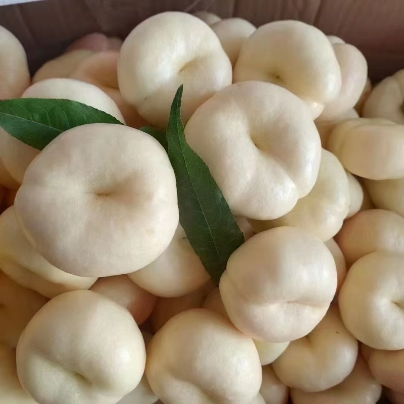 山东蒙阴奶油蟠桃白蟠桃，产地直发，品质保证，量大从优