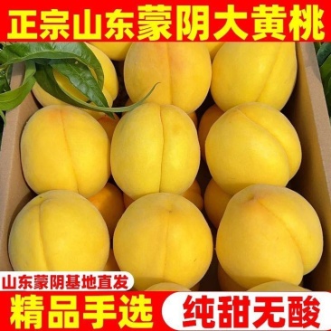 蒙阴黄桃，一手货源，全国发货，可对接电商商超等，诚信经营